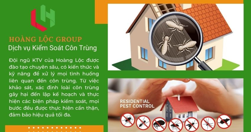 Hoàng Lộc Group - Công Ty Diệt Côn Trùng Uy Tín Hàng Đầu Tại Đà Lạt