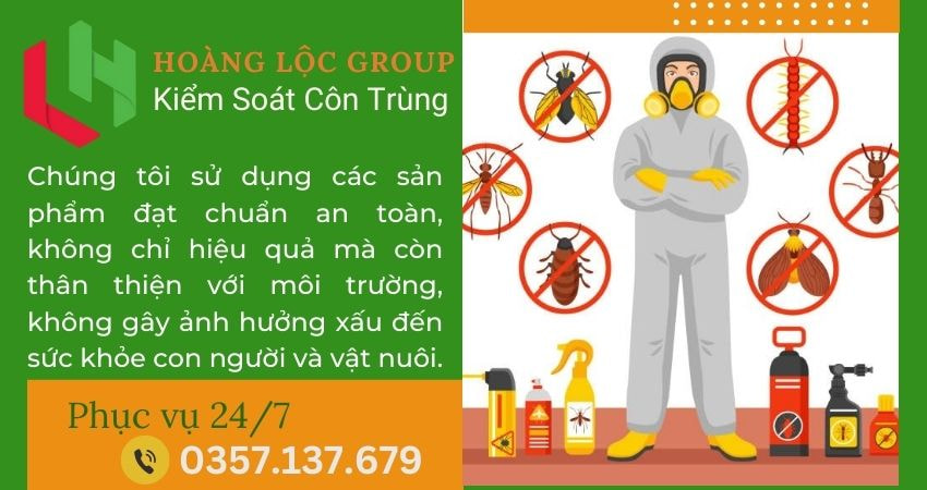 Bảo vệ ngôi nhà của bạn khỏi mối mọt cùng công ty dịch vụ diệt mối Hoàng Lộc Group