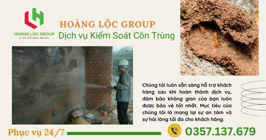 Bảo vệ ngôi nhà của bạn khỏi mối mọt cùng công ty dịch vụ diệt mối Hoàng Lộc Group