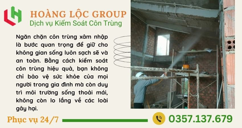 Hoàng Lộc Group - Chuyên gia diệt mối tận gốc tại Lâm Đồng