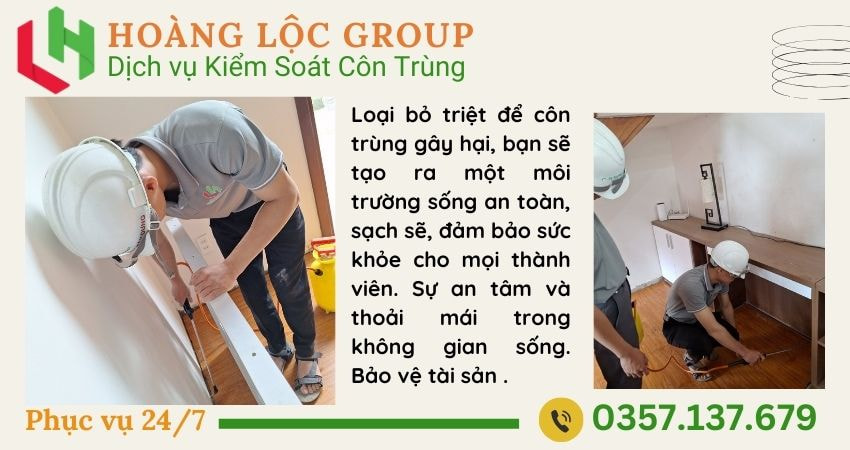 Hoàng Lộc Group - Chuyên gia diệt mối tận gốc tại Lâm Đồng