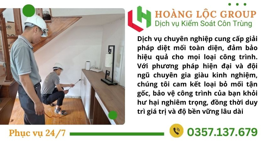 Mẹo Chọn Công Ty Dịch Vụ Diệt Mối Uy Tín Và Chất Lượng – Không Thể Bỏ Qua!
