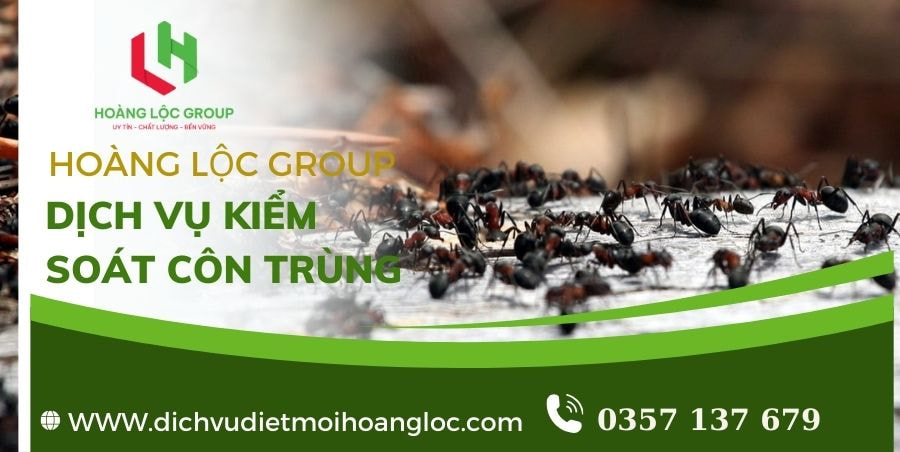 Công Ty Phun Thuốc Diệt Muỗi Hoàng Lộc Group - Giải Pháp Đáng Tin Cậy