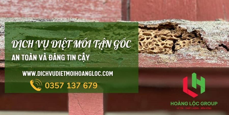 Phòng và Xử Lý Chống Mối Nền Móng trong Xây Dựng