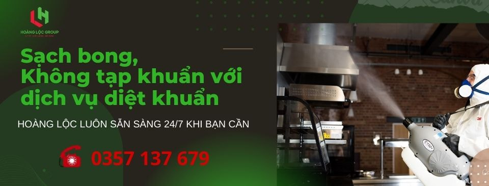 Khám Phá Các Biện Pháp Phòng Tránh Mối Trong Xây Dựng
