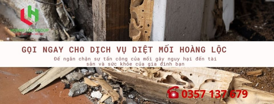 Khám Phá Các Biện Pháp Phòng Tránh Mối Trong Xây Dựng