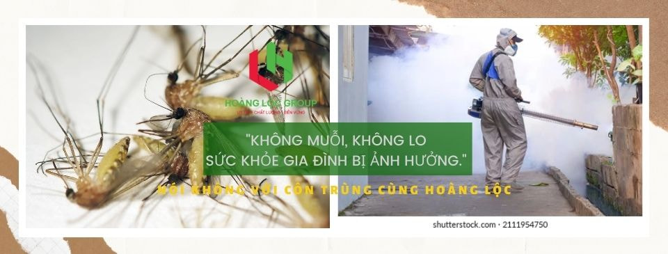5 Lý Do Bạn Cần Biết Để Lựa Chọn Công Ty Dịch Vụ Phòng Chống Mối Công Trình Xây Dựng Hiệu Quả