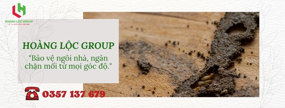 Sự Quan Trọng của Xử Lý Chống Mối Nền Móng đối với Công Trình Dựng Nhà Bằng Gỗ