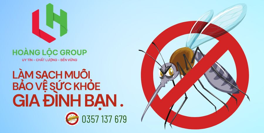 xử lý chống mối nền móng trước khi xây dựng nhà