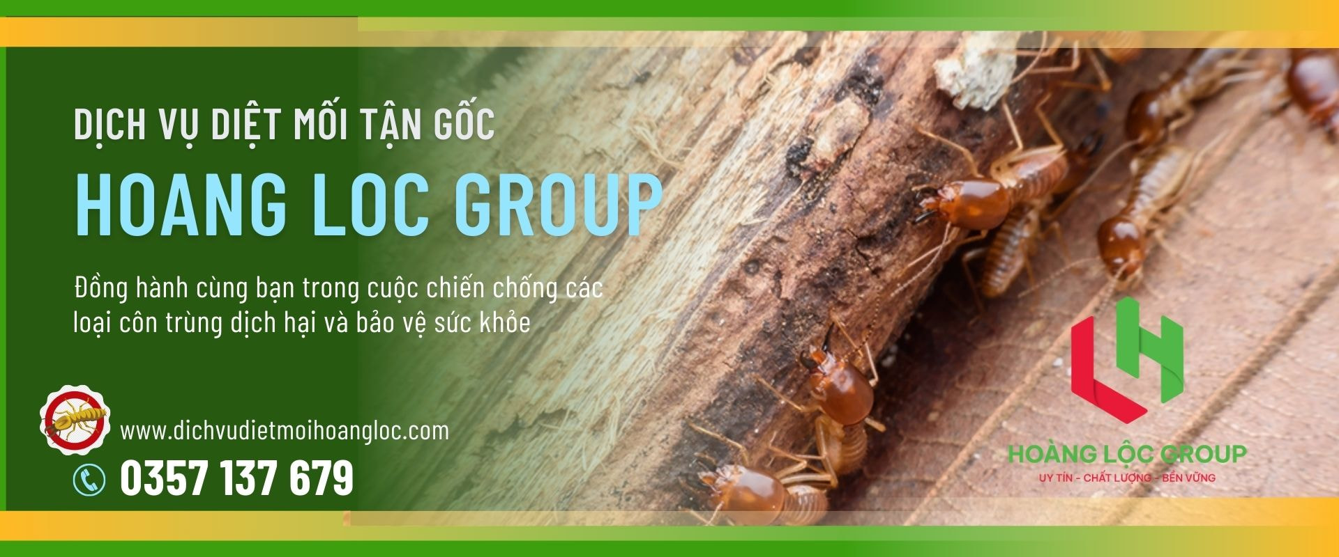 Bảo Vệ Công Trình Xây Dựng bằng Việc Xử Lý Phòng Chống Mối Công Trình Xây Dựng