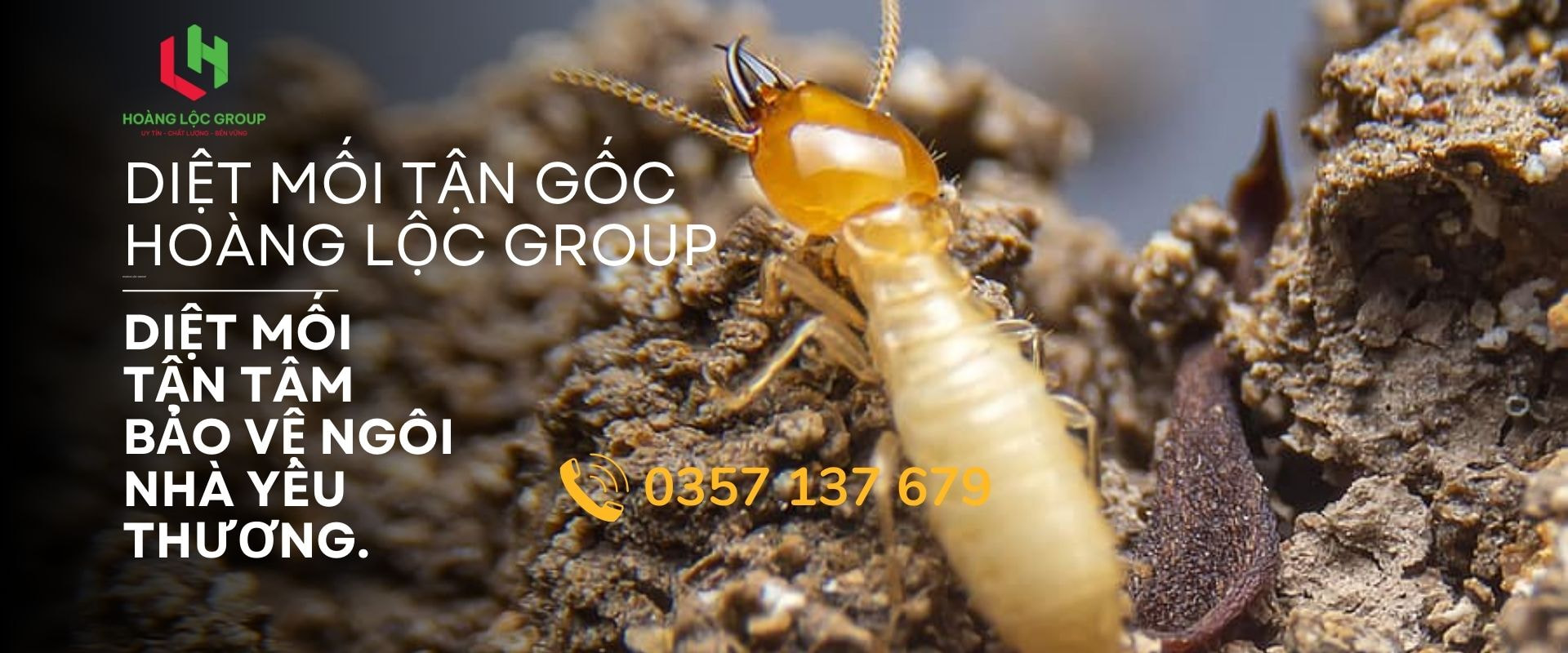 Trong ngành xây dựng, mối được coi là một trong những kẻ thù lớn nhất của nền móng của các công trình. Mặc dù nhỏ bé, mối có thể gây ra những hậu quả nghiêm trọng và ảnh hưởng không lường trước đến tính an toàn và bền vững của nền móng.