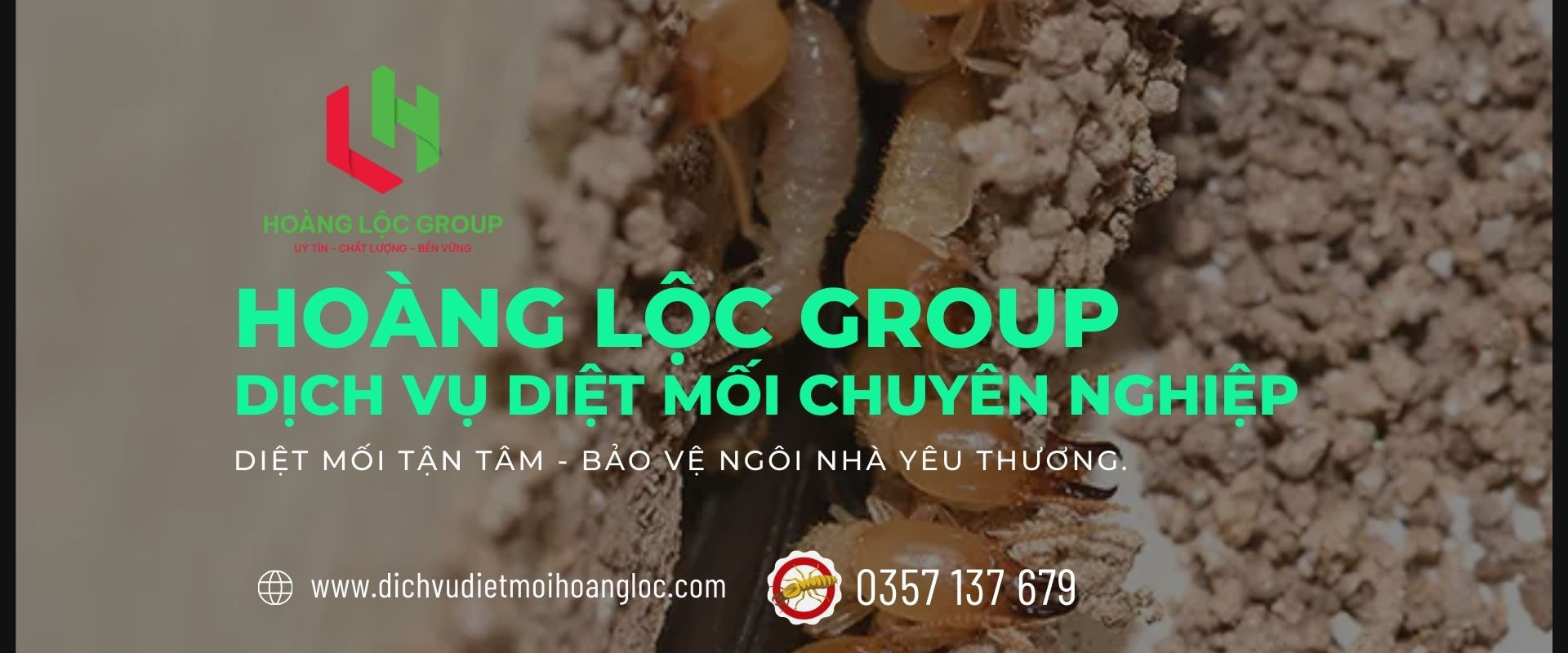 Nguy Cơ và Hậu Quả của Việc Bỏ Qua Phòng Chống Mối Trong Xây Dựng