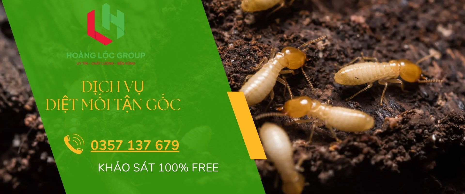 Kiểm Soát Mối: Bí Mật Để Bảo Vệ Công Trình Xây Dựng Khỏi Sự Tàn Phá