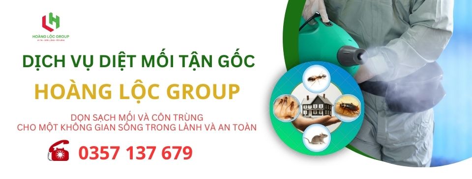 Dịch vụ diệt mối tận gốc Hoàng Lộc Group