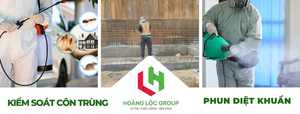 dịch vụ diệt mối tận gốc tại nhà Hoàng Lộc group