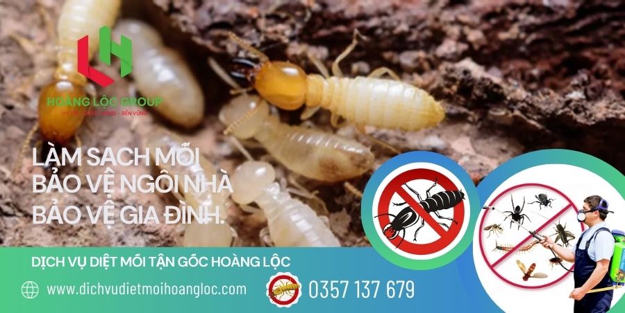 Kiểm Soát Côn Trùng Dịch Hại Cho Môi Trường Thương Mại: Sự Quan Trọng Của Bảo Vệ Doanh Nghiệp