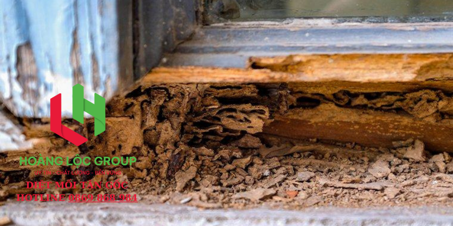 Hoàng Lộc Group - Giải Pháp Diệt Côn Trùng Toàn Diện Cho Gia Đình Bạn