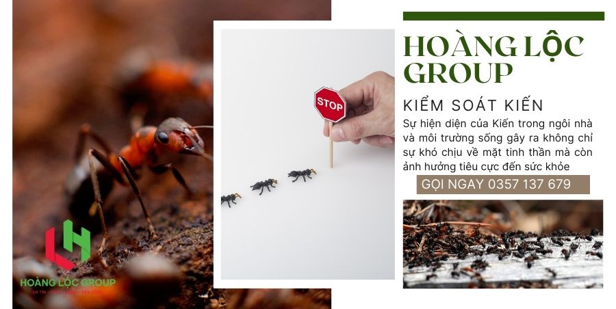 Kiểm Soát Côn Trùng Dịch Hại Cho Môi Trường Thương Mại: Sự Quan Trọng Của Bảo Vệ Doanh Nghiệp