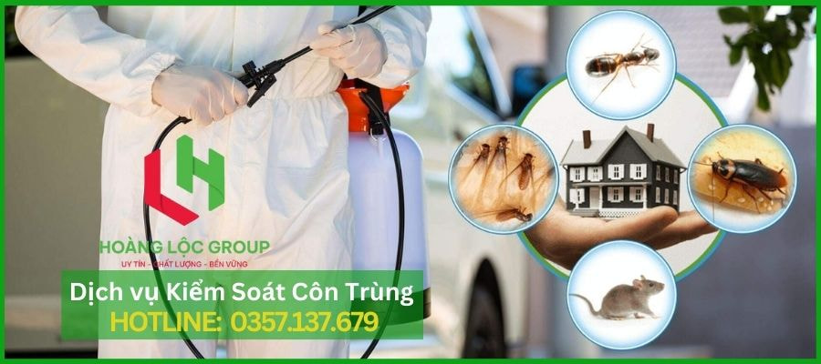Hoàng Lộc Group - Dịch Vụ Diệt Muỗi Cho Nhà Hàng, Khách Sạn Tại Lâm Đồng