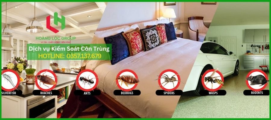Hoàng Lộc Group - Dịch Vụ Diệt Côn Trùng Hiệu Quả Ở Đà Lạt