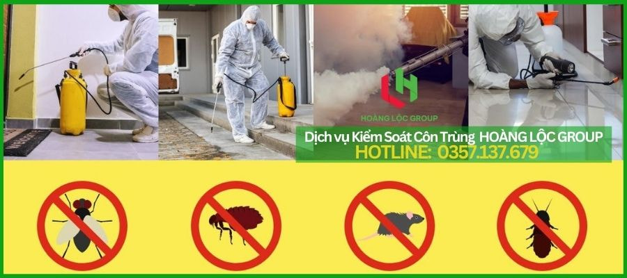 Công Ty Xử Lý Côn Trùng Hoàng Lộc Group - Chất Lượng Đảm Bảo