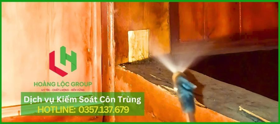 Dịch Vụ Diệt Mối Tận Gốc Tại Nhà: Hoàng Lộc Group Cam Kết Hiệu Quả