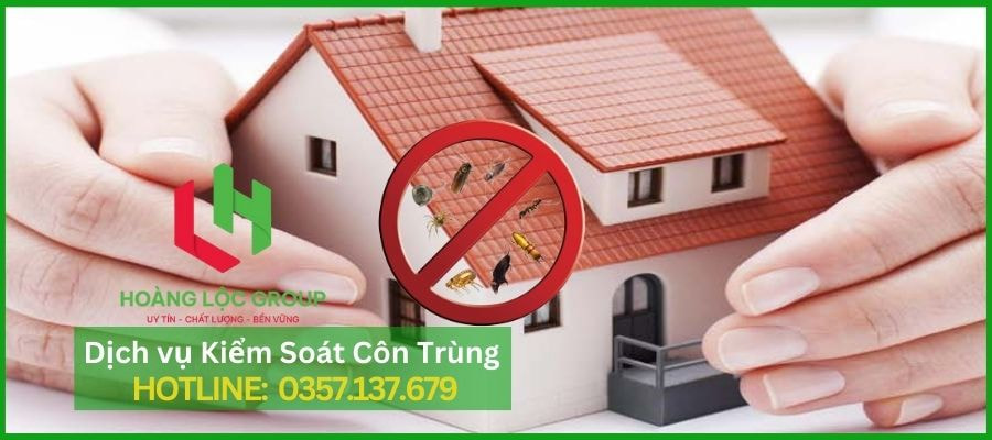 Cảnh Báo: Rệp Giường Có Thể Làm Bạn Mất Ngủ! Giải Pháp Diệt Rệp Giường Hiệu Quả