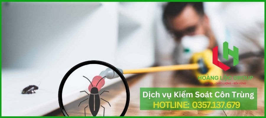 Hoàng Lộc Group - Giải Pháp Diệt Côn Trùng Toàn Diện Cho Gia Đình Bạn