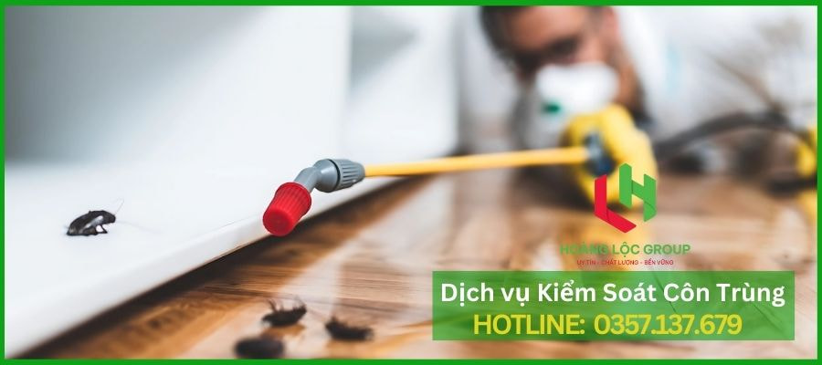 Chống Mối Nền Móng: Giải Pháp Tối Ưu Cho Công Trình Xây Dựng Tại Đà Lạt