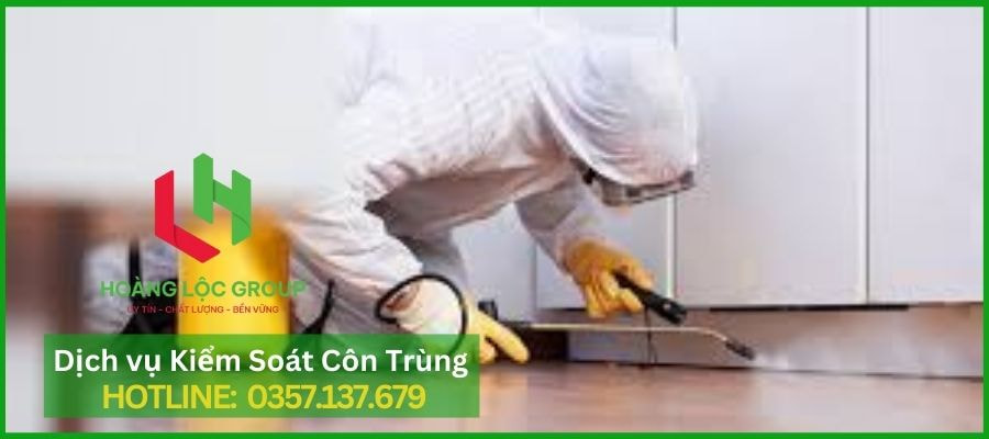 Dịch Vụ Diệt Côn Trùng Chuyên Nghiệp Hoàng Lộc Group Tại Lâm Đồng