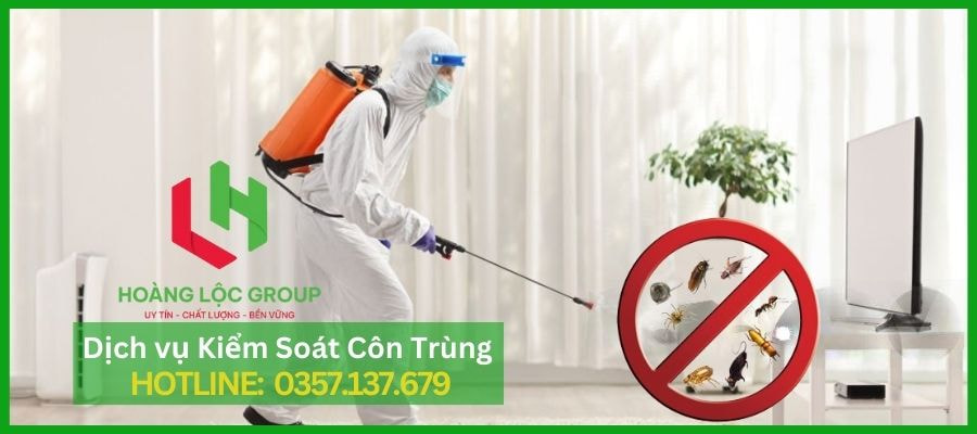 Hoàng Lộc Group - Dịch Vụ Phun Muỗi Chuyên Nghiệp Tại Đà Lạt