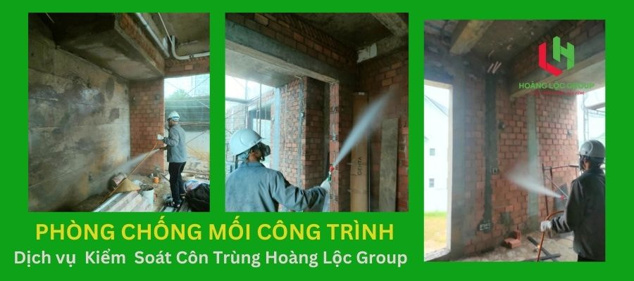 Làm Sao Để Phòng Ngừa Mối Trước Khi Xây Nhà? Hoàng Lộc Group Có Giải Pháp