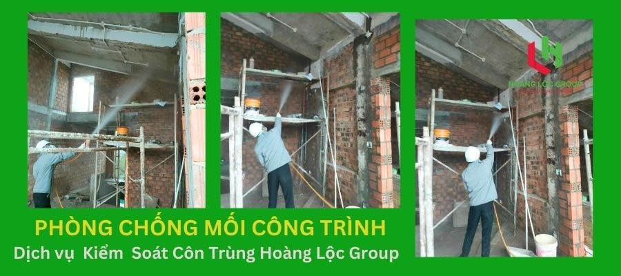 Diệt Muỗi Tận Gốc Với Dịch Vụ Phun Thuốc Muỗi Của Hoàng Lộc Group
