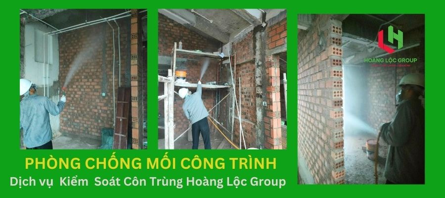 Làm Sao Để Phòng Ngừa Mối Trước Khi Xây Nhà? Hoàng Lộc Group Có Giải Pháp