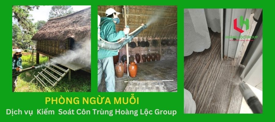 Hoàng Lộc Group - Dịch Vụ Diệt Muỗi Cho Nhà Hàng, Khách Sạn Tại Lâm Đồng