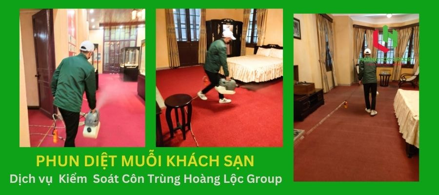 Phun Thuốc Muỗi Tại Nhà Cùng Hoàng Lộc Group - An Toàn Và Hiệu Quả