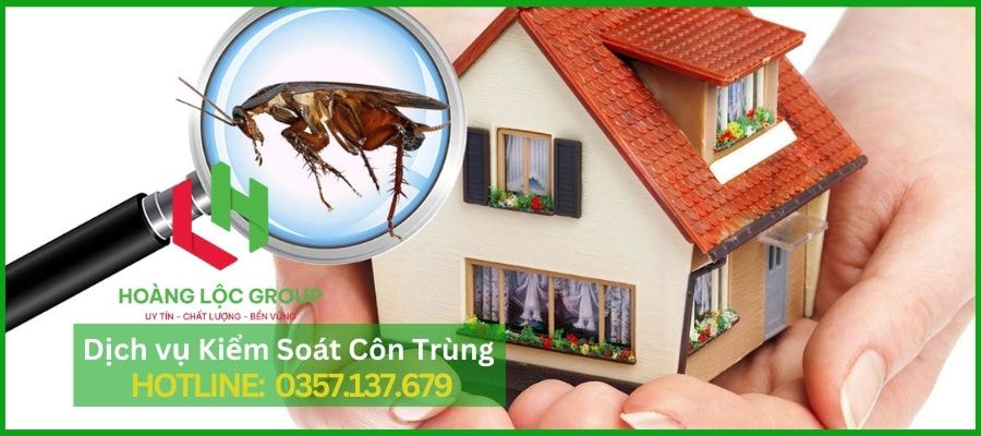 Công Ty Diệt Mối Hoàng Lộc Group: Bảo Vệ Ngôi Nhà Của Bạn Khỏi Mối Nguy Hại