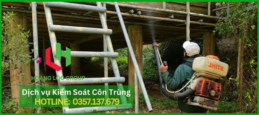 Phun Thuốc Muỗi Tại Nhà Cùng Hoàng Lộc Group - An Toàn Và Hiệu Quả
