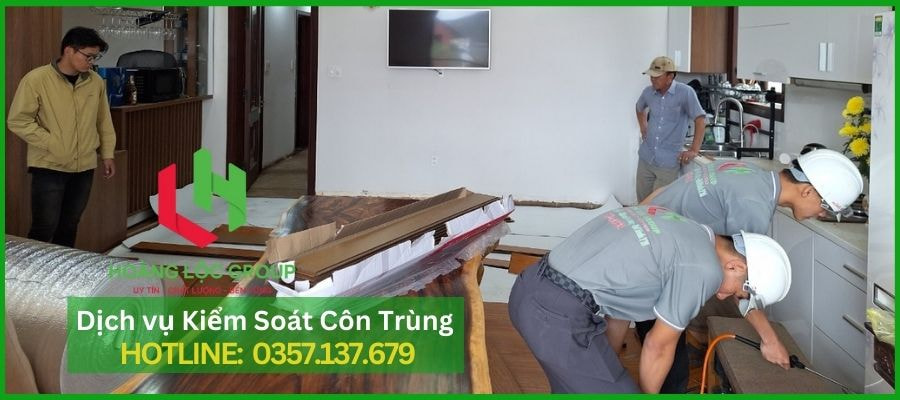 Tại Sao Nên Chọn Hoàng Lộc Group Là Công Ty Diệt Côn Trùng Tại Nhà?