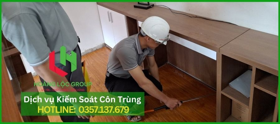 Phun Thuốc Muỗi Tại Nhà Cùng Hoàng Lộc Group - An Toàn Và Hiệu Quả