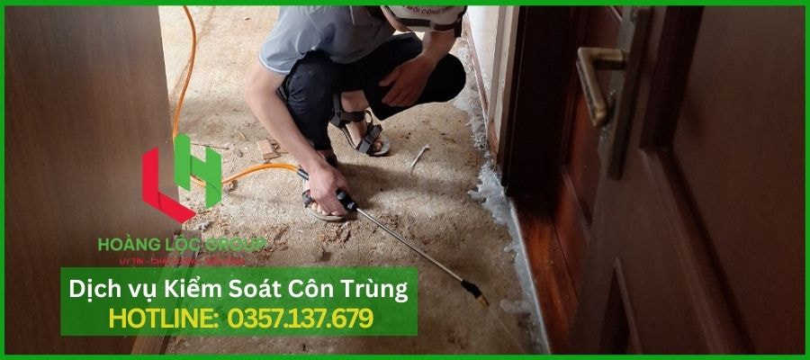 Dịch Vụ Diệt Mọt Gỗ Chuyên Nghiệp Tại Lâm Đồng Của Hoàng Lộc Group