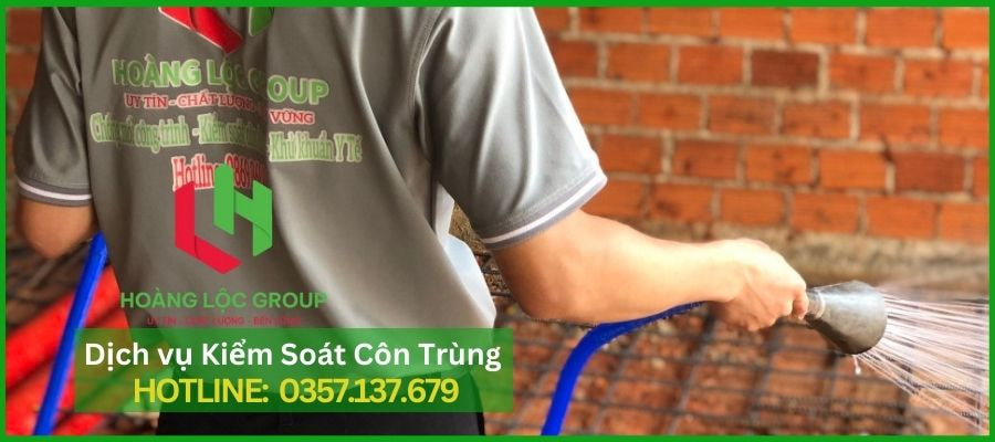 Giải Pháp Diệt Mối Tận Gốc: Hoàng Lộc Group Dẫn Đầu Tại Đà Lạt Và Lâm Đồng