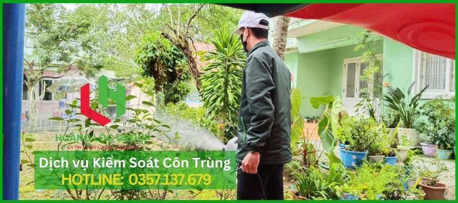 Dịch Vụ Xịt Muỗi Của Hoàng Lộc Group - Bảo Vệ Sức Khỏe Gia Đình Bạn