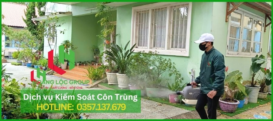 Công Ty Dịch Vụ Diệt Muỗi Hoàng Lộc Group - An Toàn Trong Từng Lần Phun