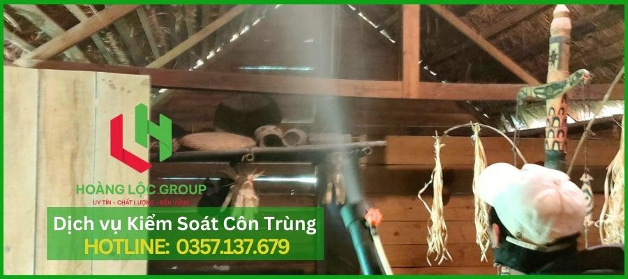 Phun Muỗi Trong Nhà: Dịch Vụ Của Hoàng Lộc Group Đảm Bảo Hiệu Quả