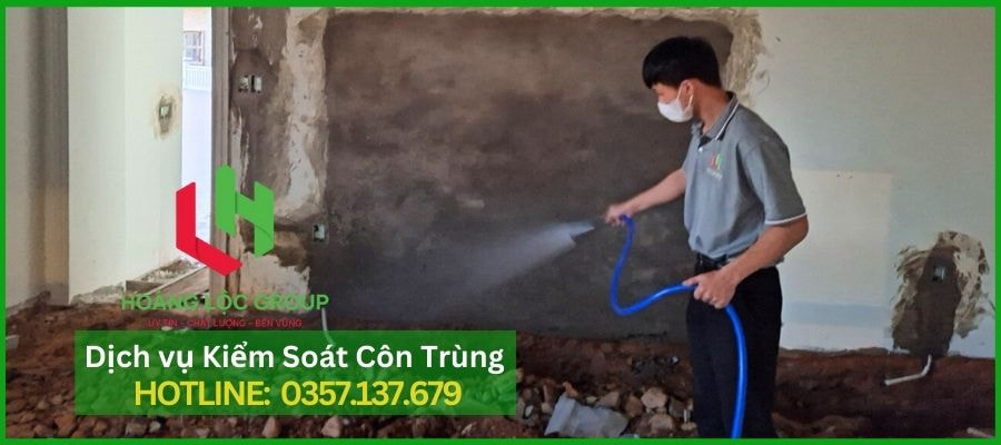 Chống Mối Nền Móng: Giải Pháp Tối Ưu Cho Công Trình Xây Dựng Tại Đà Lạt