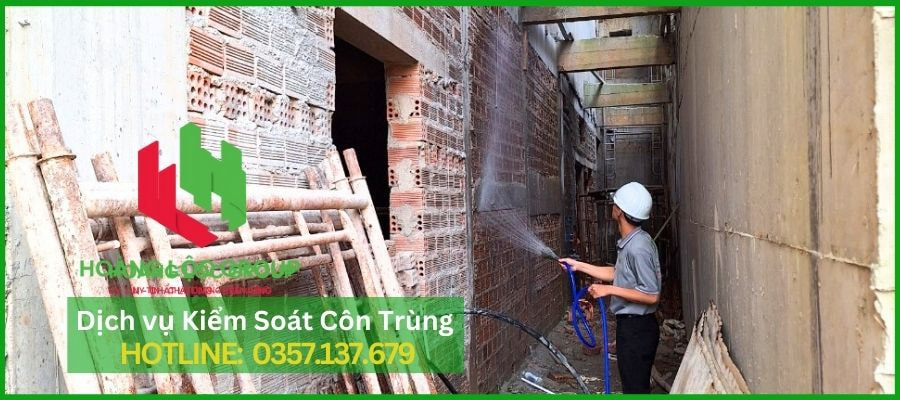 Rệp Giường Ẩn Náu Ngay Dưới Nệm Của Bạn? Đừng Chủ Quan Trước Mối Nguy Hại Này!