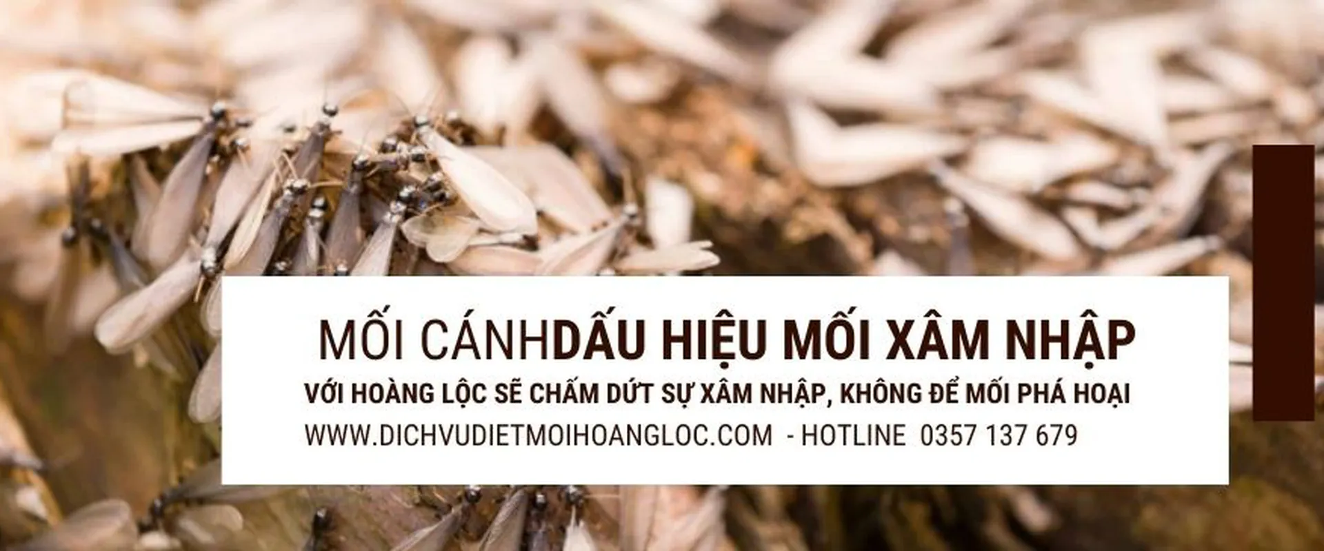  DỊCH VỤ PHUN KHỬ KHUẨN