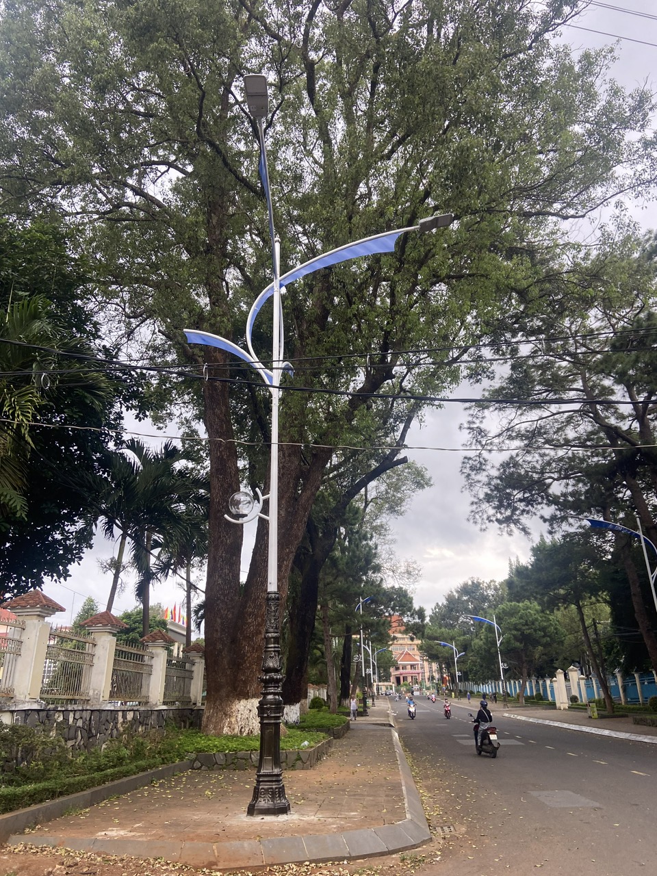 tru-den-chieu-sang tru-den-chieu-sang