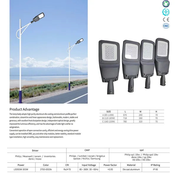 Đèn Đường Phố VNL 20